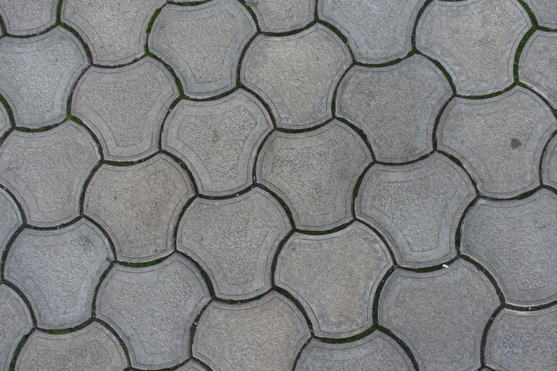 Paver Replacement Close-Up